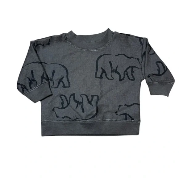 Baby 3-Piece Bear Sweatshirt Set in Charcoal & Heather, Newborn, Carter’s - Picture 3 of 4